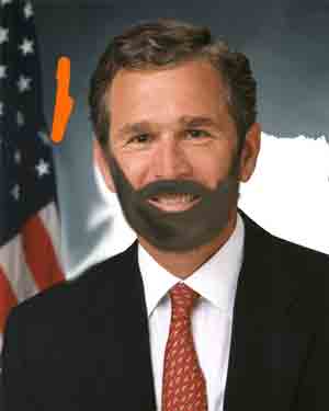 george W bush with a beard
